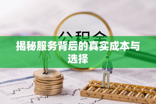 冬山揭秘服务背后的真实成本与选择