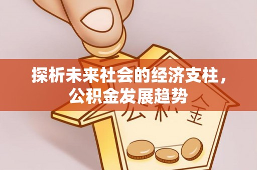 冬山探析未来社会的经济支柱，公积金发展趋势