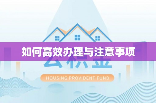 冬山如何高效办理与注意事项