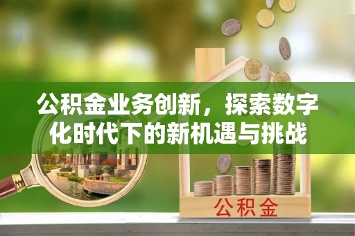 冬山公积金业务创新，探索数字化时代下的新机遇与挑战