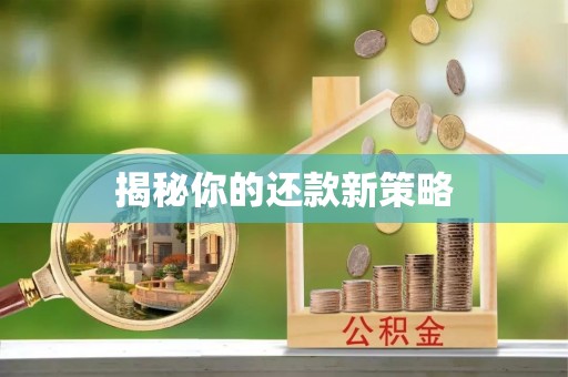 冬山揭秘你的还款新策略