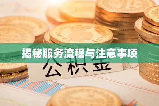 冬山揭秘服务流程与注意事项