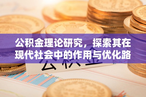 冬山公积金理论研究，探索其在现代社会中的作用与优化路径