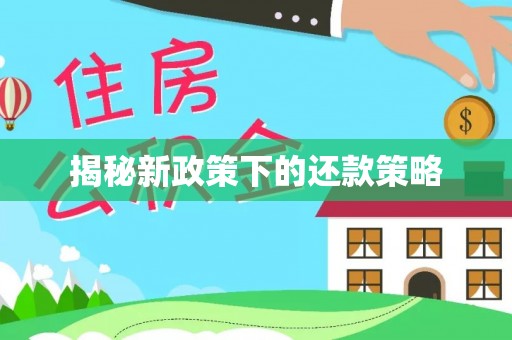 冬山揭秘新政策下的还款策略