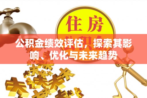 冬山公积金绩效评估，探索其影响、优化与未来趋势