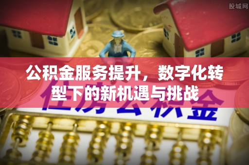 冬山公积金服务提升，数字化转型下的新机遇与挑战
