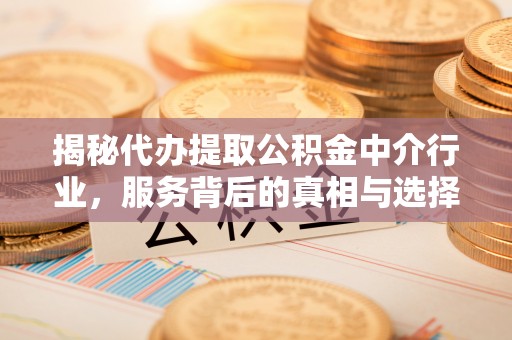 冬山揭秘代办提取公积金中介行业，服务背后的真相与选择指南
