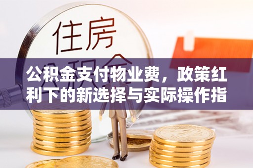 冬山公积金支付物业费，政策红利下的新选择与实际操作指南