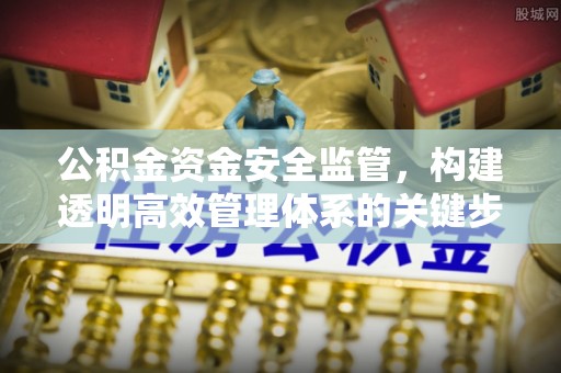 冬山公积金资金安全监管，构建透明高效管理体系的关键步骤