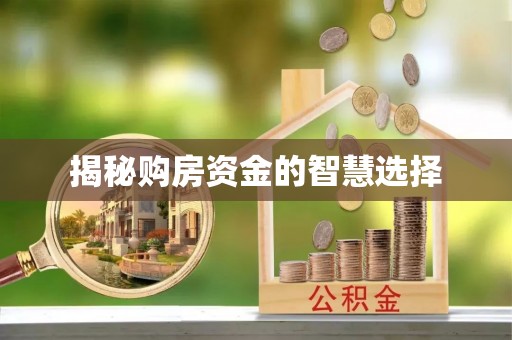 冬山揭秘购房资金的智慧选择