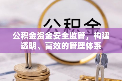 冬山公积金资金安全监管，构建透明、高效的管理体系