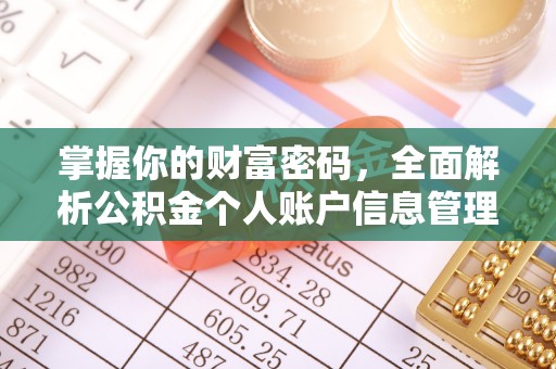 冬山掌握你的财富密码，全面解析公积金个人账户信息管理
