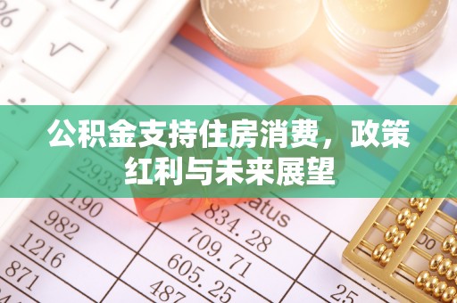 冬山公积金支持住房消费，政策红利与未来展望