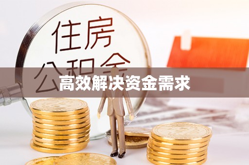 冬山高效解决资金需求