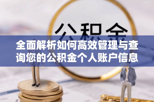 冬山全面解析如何高效管理与查询您的公积金个人账户信息