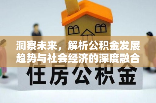 冬山洞察未来，解析公积金发展趋势与社会经济的深度融合