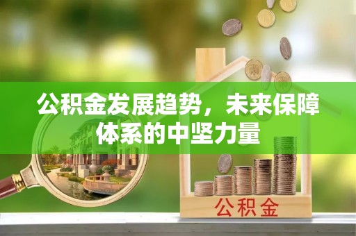 冬山公积金发展趋势，未来保障体系的中坚力量