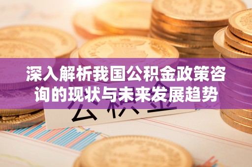 冬山深入解析我国公积金政策咨询的现状与未来发展趋势