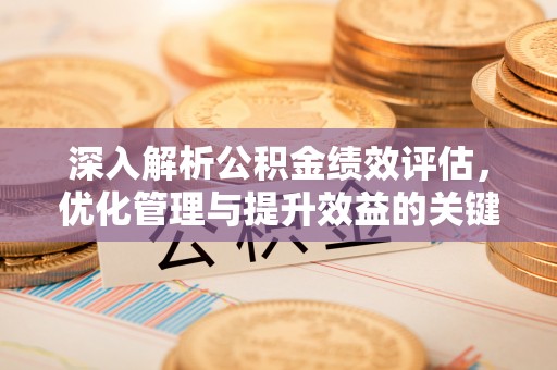 冬山深入解析公积金绩效评估，优化管理与提升效益的关键路径