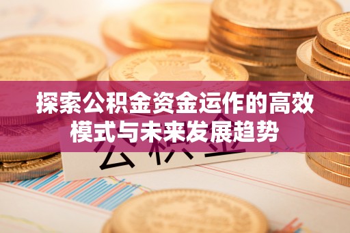 冬山探索公积金资金运作的高效模式与未来发展趋势