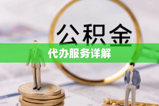 冬山代办服务详解