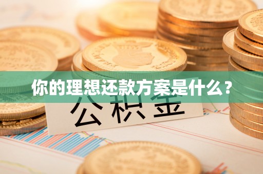冬山你的理想还款方案是什么？