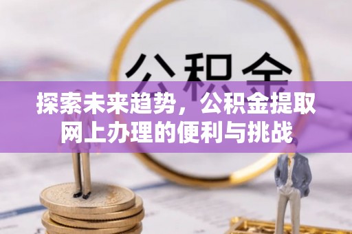 冬山探索未来趋势，公积金提取网上办理的便利与挑战
