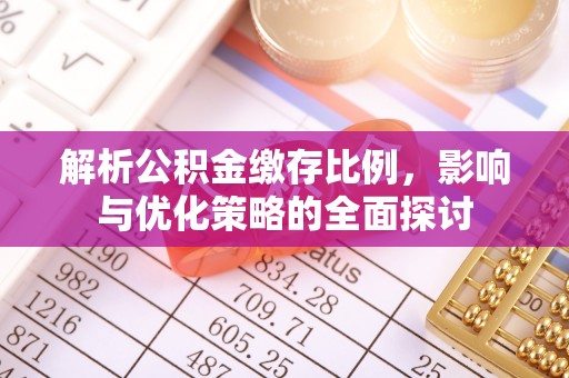 冬山解析公积金缴存比例，影响与优化策略的全面探讨