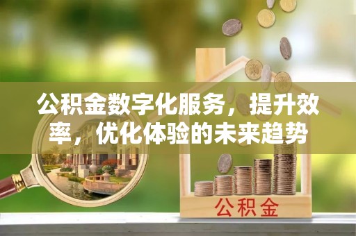 冬山公积金数字化服务，提升效率，优化体验的未来趋势