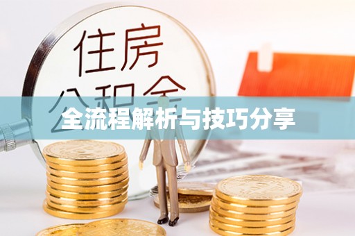 冬山全流程解析与技巧分享