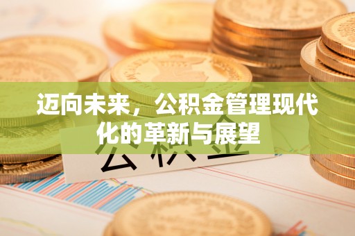 冬山迈向未来，公积金管理现代化的革新与展望