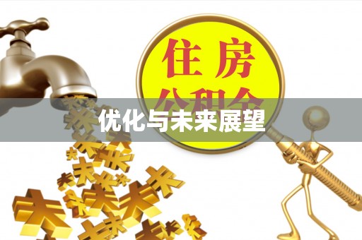 冬山优化与未来展望