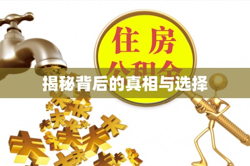 冬山揭秘背后的真相与选择