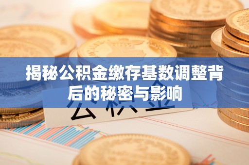 冬山揭秘公积金缴存基数调整背后的秘密与影响
