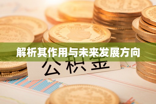 冬山解析其作用与未来发展方向