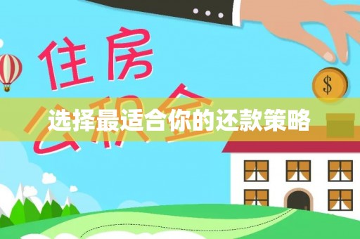 冬山选择最适合你的还款策略