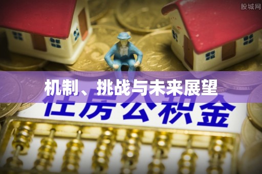 冬山机制、挑战与未来展望