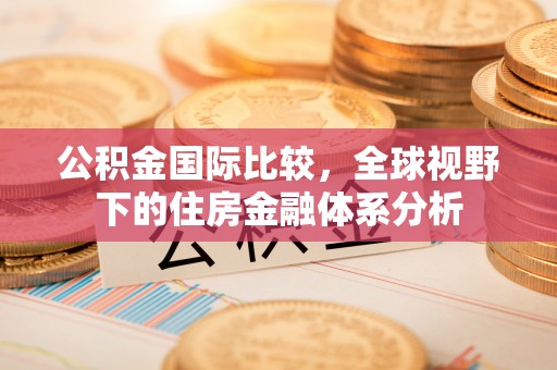 冬山公积金国际比较，全球视野下的住房金融体系分析