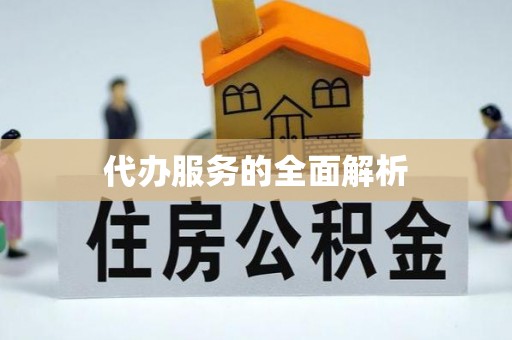 冬山代办服务的全面解析